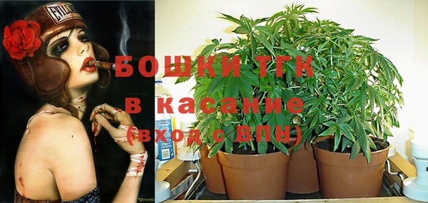 гидропоника Инсар