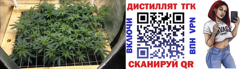 Купить  Зерноград  Дистиллят ТГК вейп с тгк 